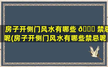 房子开侧门风水有哪些 🐋 禁忌呢(房子开侧门风水有哪些禁忌呢*
)